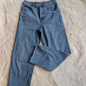 EVERLANE The Way High Jean. Size 27 (fits like 28)